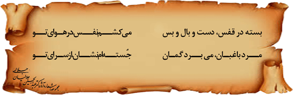 33--عاشق-امین