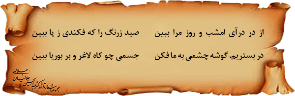 صید-زرنگ