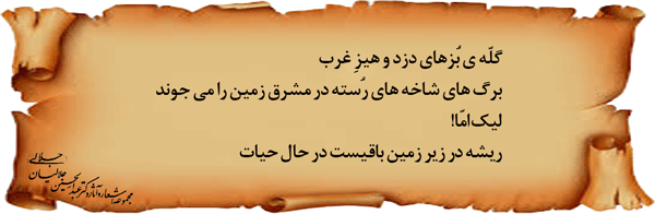 ملوط-و-بلوط