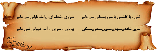 نمی-دانم